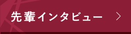 先輩インタビュー-INTERVIEW